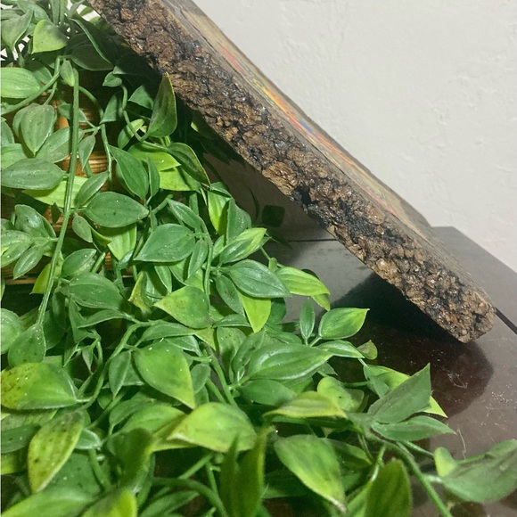 Vintage Mexican Folk Art Amate Bark Paintings On Cork Birds/Flowers 2 - Picture 9 of 12